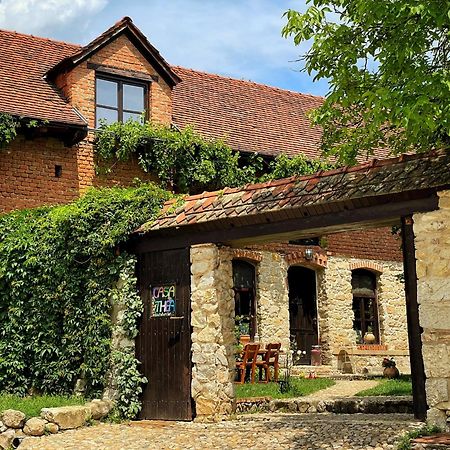 Готель Casa Thea Cheile Nerei Socolari Екстер'єр фото