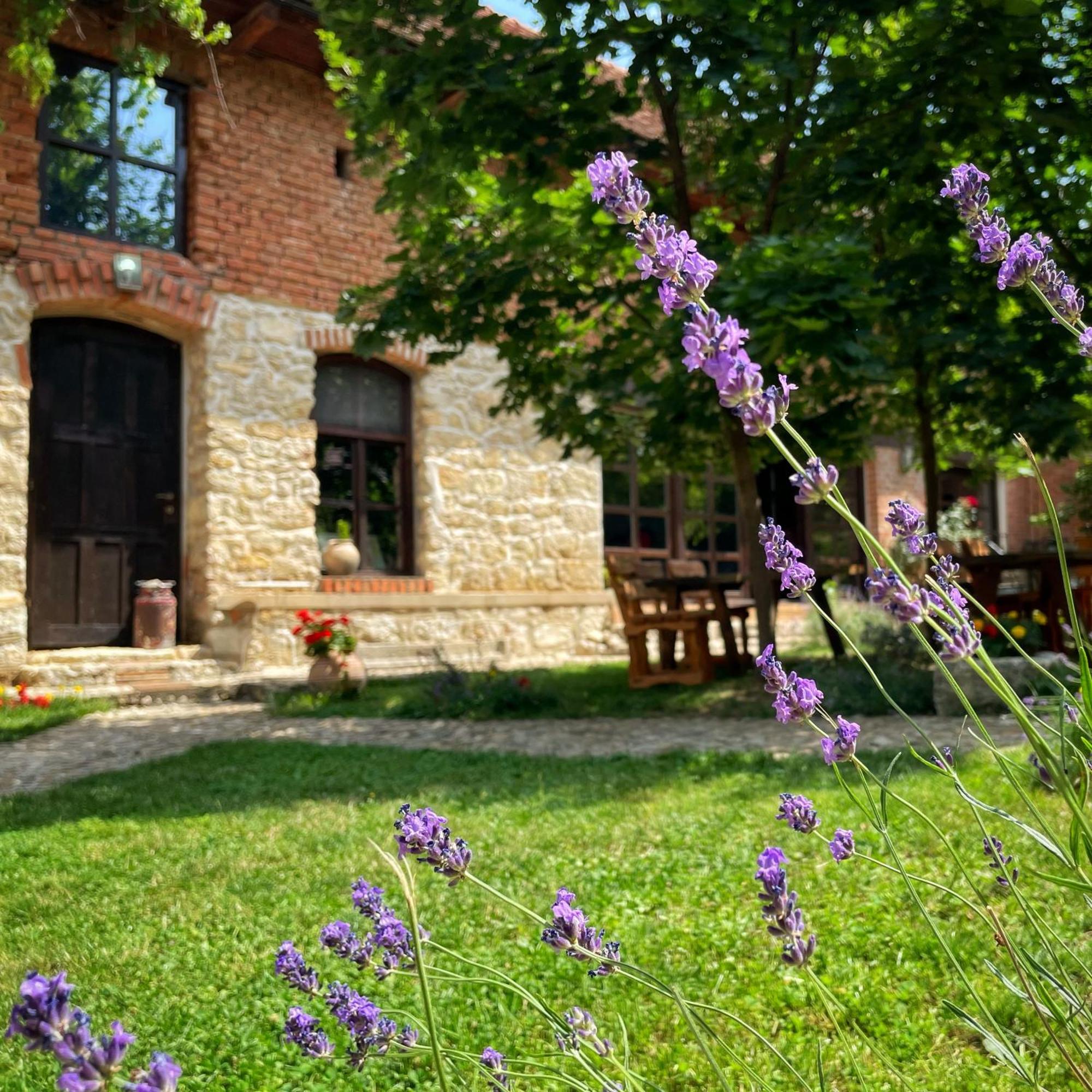 Готель Casa Thea Cheile Nerei Socolari Екстер'єр фото