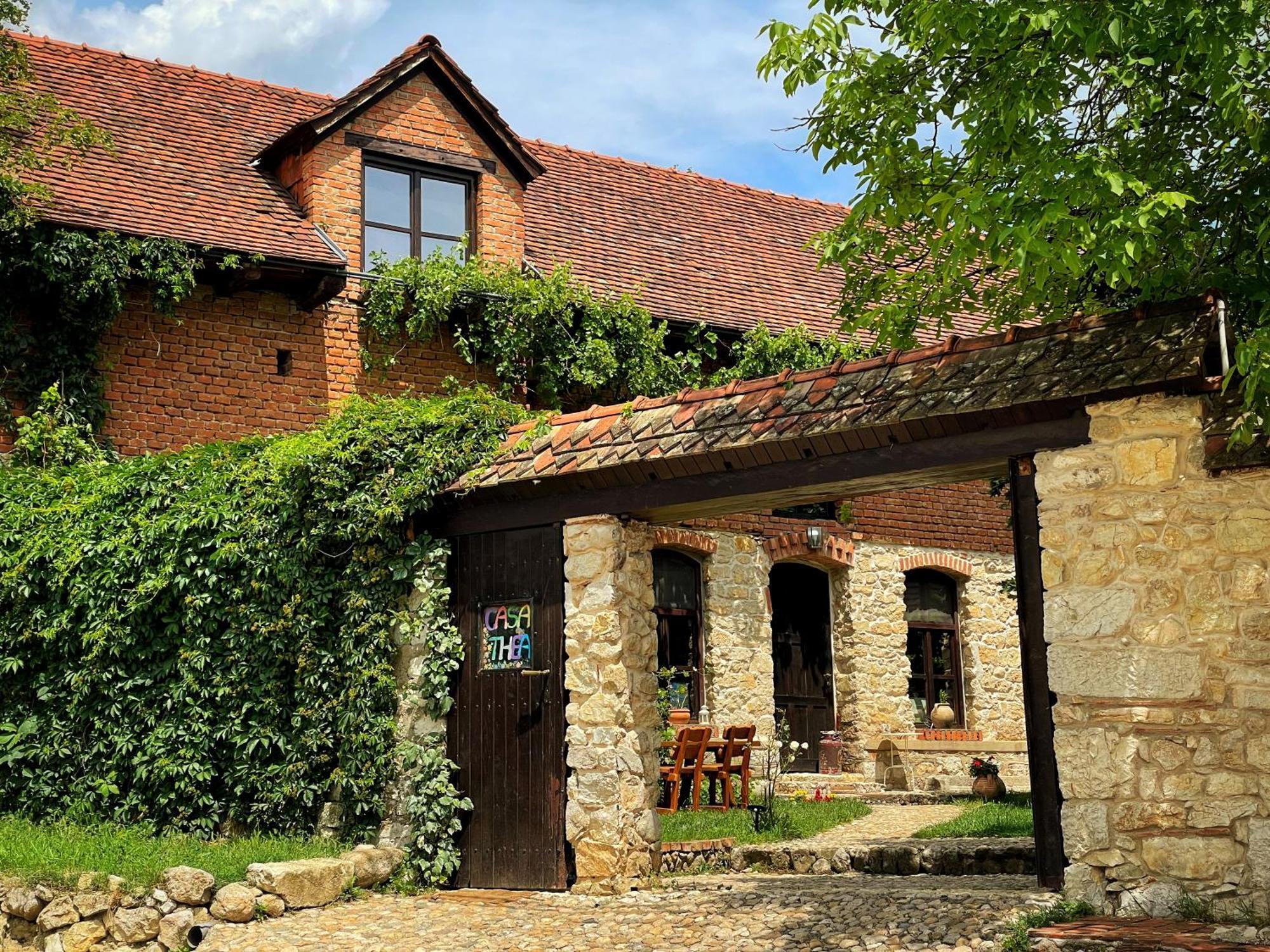 Готель Casa Thea Cheile Nerei Socolari Екстер'єр фото